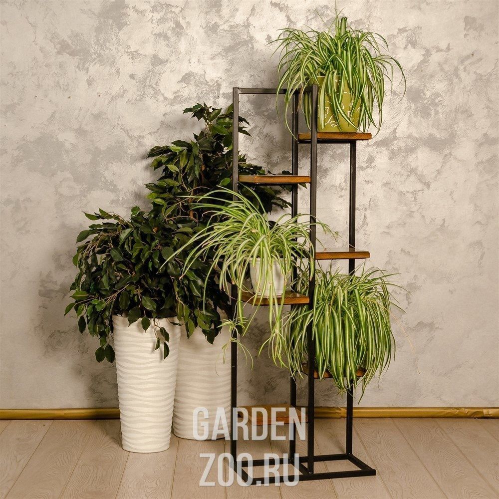 Garden_Zoo's tweet image. Мебель в стиле Лофт в наличии и под заказ.

#мебель #лофт #кованаямебель #мебельлофт #подставкидляцветов #loft #зелёныйдом #gardenzoo
garden-zoo.ru/categories/meb…