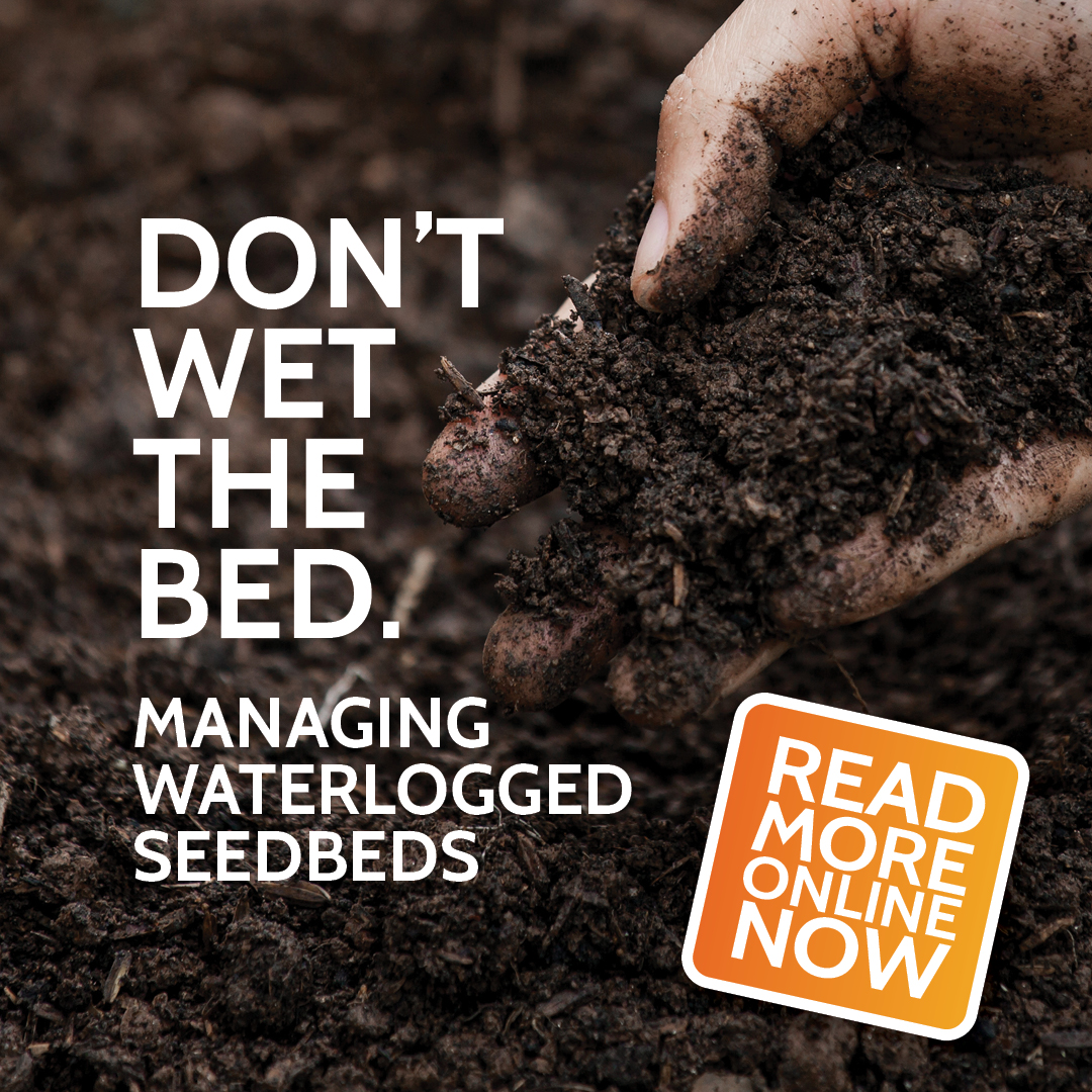 kline_ag's tweet image. Is your soil saturated with water? Are you struggling to manage your soggy seedbeds?

Check out our latest blog via the link below, where we detail the most effective ways to manage your waterlogged soil.

k-line.net.au/news/managing-…

#klineag #cnhi #waterlogged