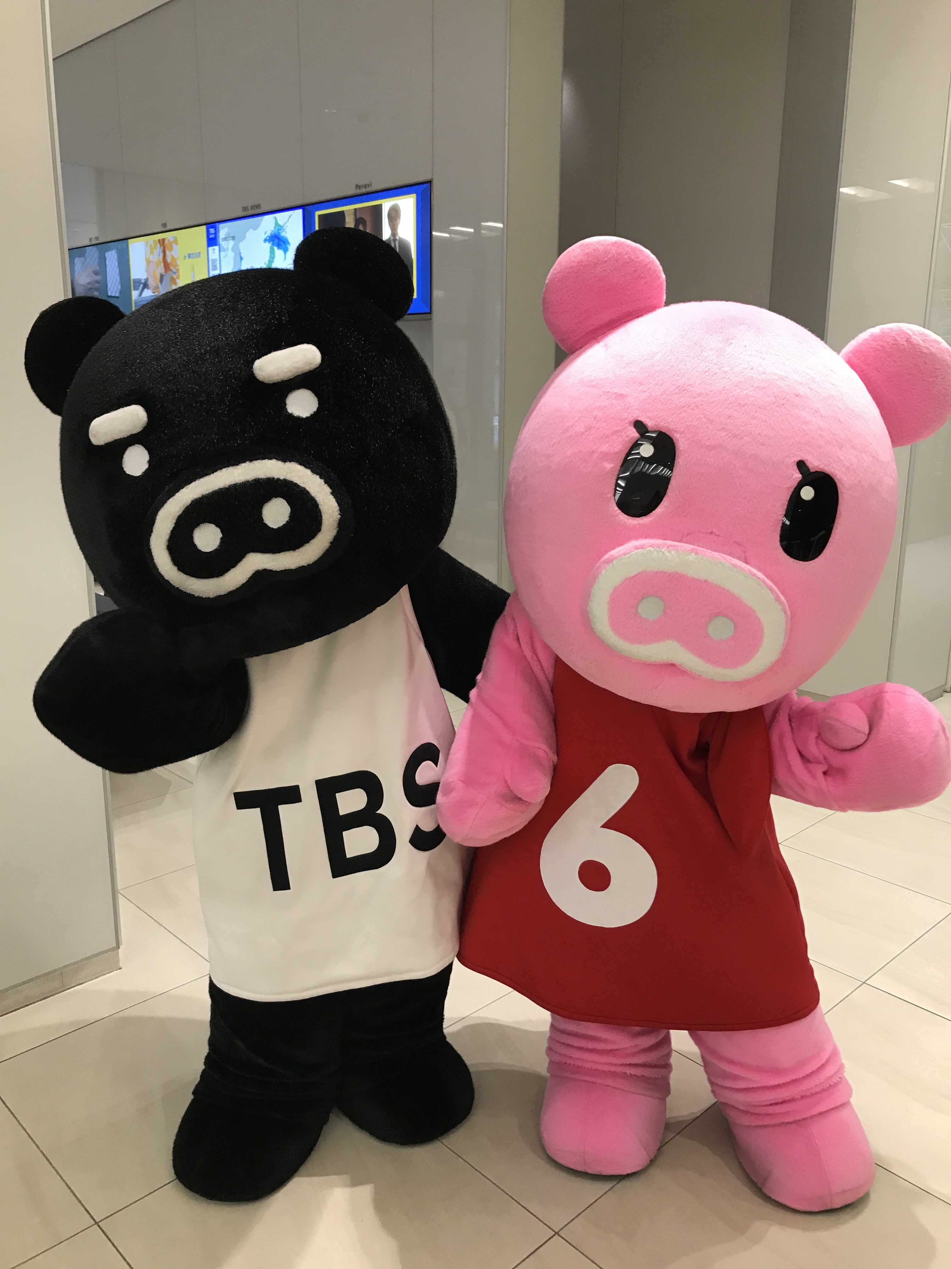 TBS ぶーなちゃん&ブーブのぬいぐるみ Boona／ぬいぐるみ | TBSショッピング