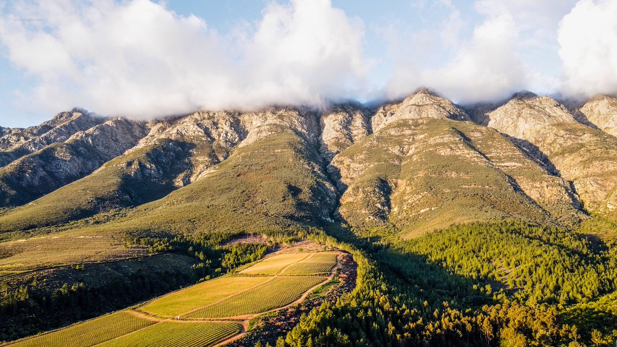 Fablewines's tweet image. Located up against the rugged slopes of the Witzenberg Mountain range.

📷 TravelingwithPieter

#FableMountainVineyards #Tulbagh