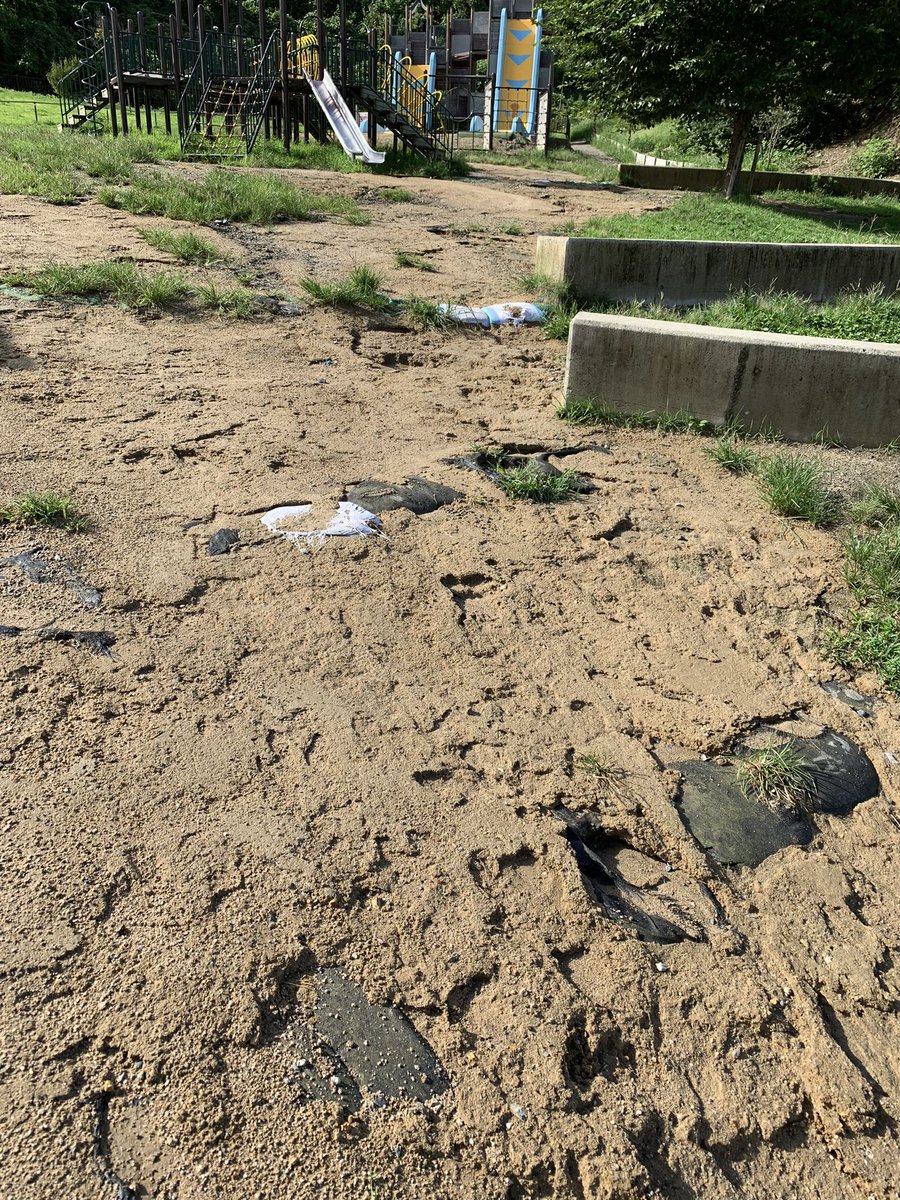 山根ひとみ 箕面市議会議員 大阪維新の会 大雨の影響が出ていないか 気になる所を見に行きました 彩都のなないろ公園にも寄りました 地面が雨で流れていて ドッグランもひどい状態です 改善を求めていきます 夜間立ち入り禁止も見えない状態です