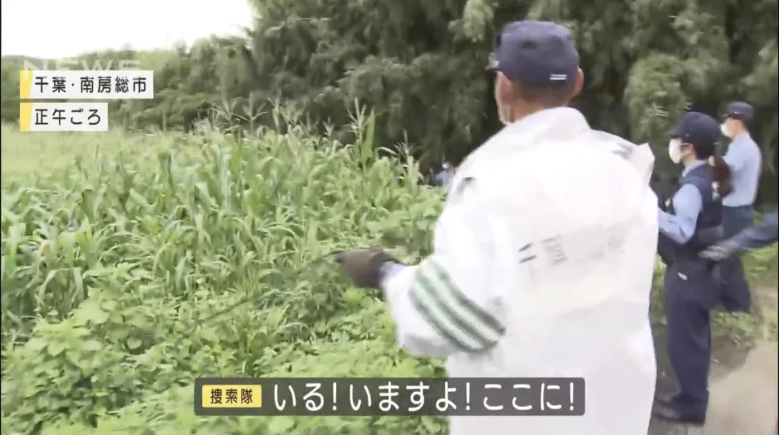 脱走したオオカミ犬の捕獲に奮闘！捜索隊のコントのような行動が話題に！