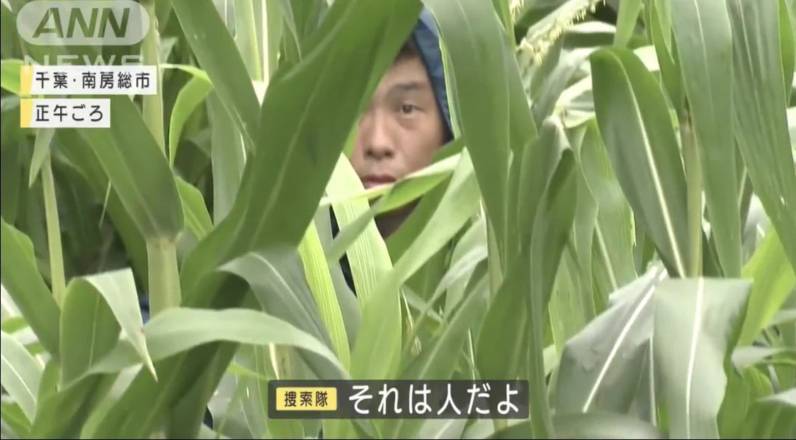 脱走したオオカミ犬の捕獲に奮闘！捜索隊のコントのような行動が話題に！