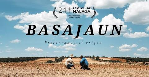 Detrás de lo que se cuenta en #Basajaun hay mucho trabajo, mucha ilusión, y sobre todo mucho creer en que la autenticidad comienza en un material vegetal único que, en un lugar concreto, se expresará en un vino irrepetible...  sigue el 🧵