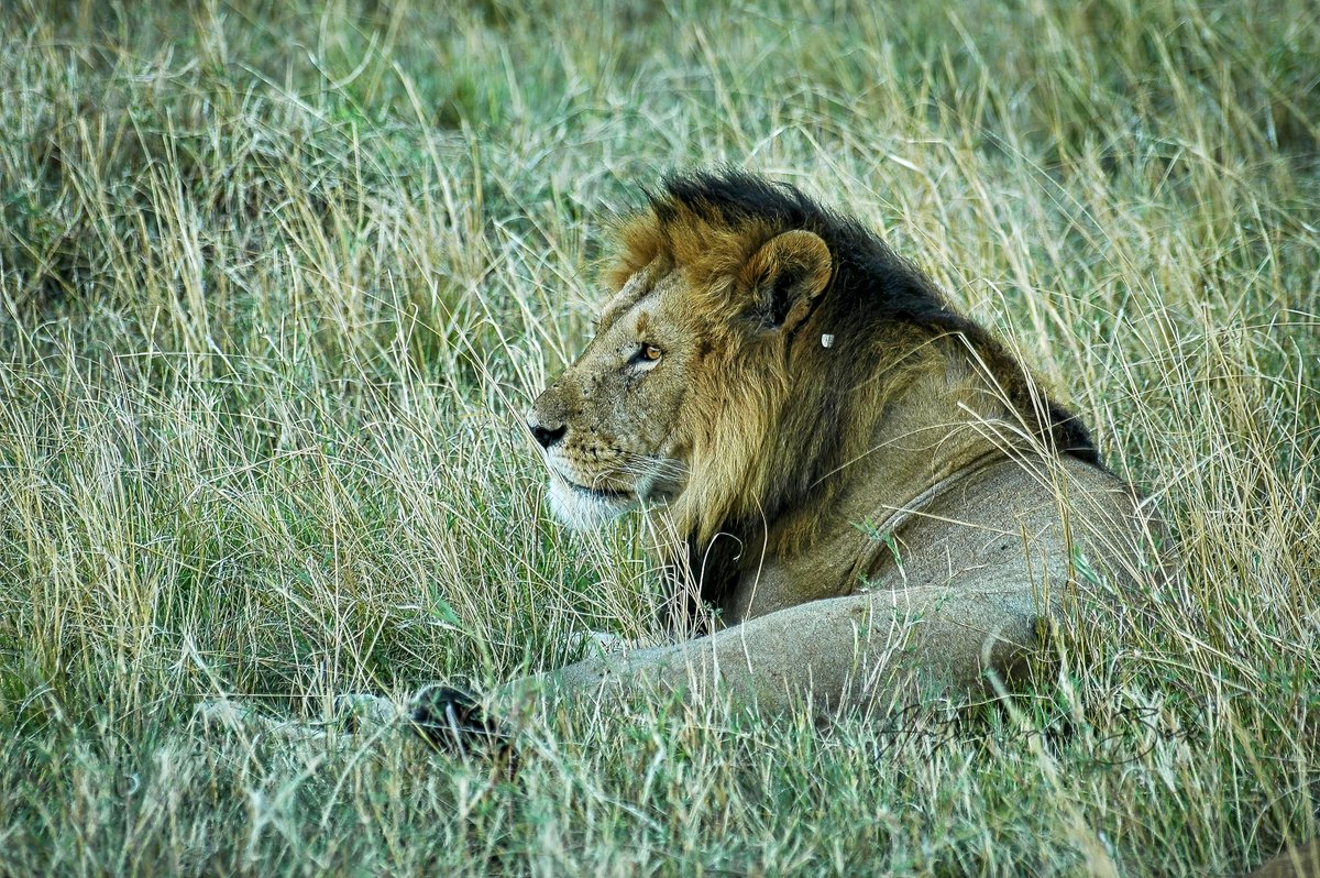 SmartinChange's tweet image. De vakantieperiode is weer voorbij, nu weer zaak om je verkoopteams weer optimaal voor te bereiden voor het jachtseizoen. Je scoort als team beter als je optimaal bent voorbereid.
#Verkopen #Sales #Training
#verkoopmanager