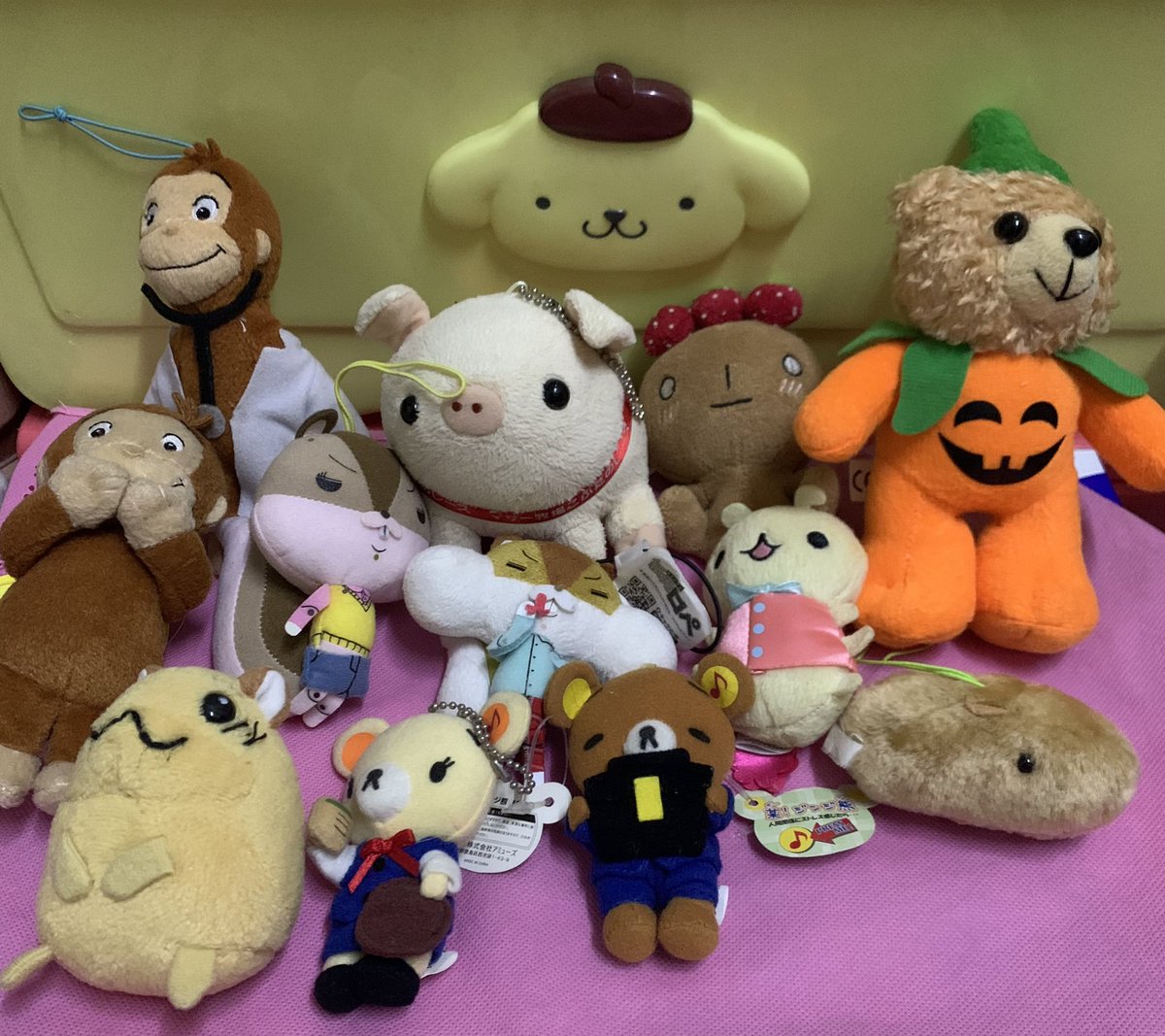 nini shop🐻 tweet media