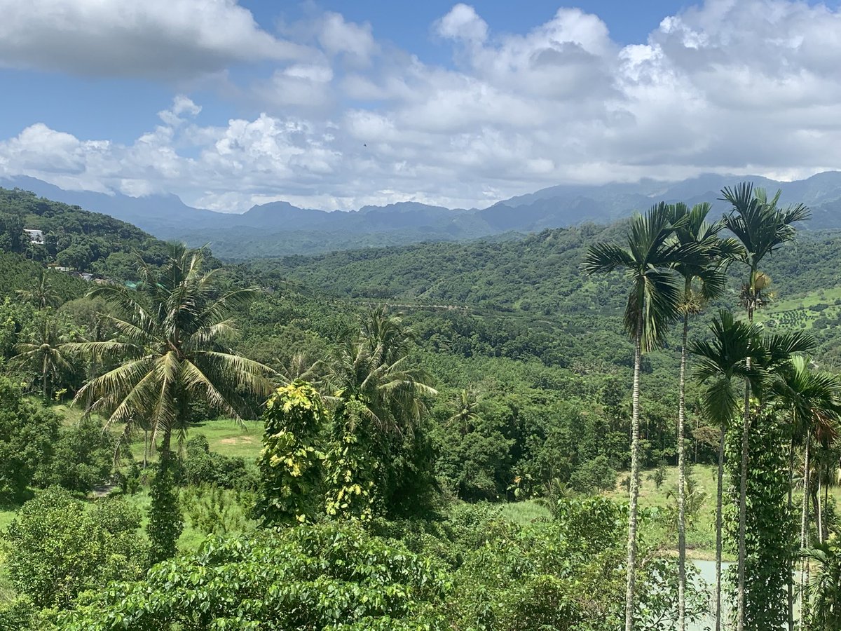 WhenInTaiwan's tweet photo. ...secret valley #23. #cycleTaiwan https://t.co/mXmxKhdoHy