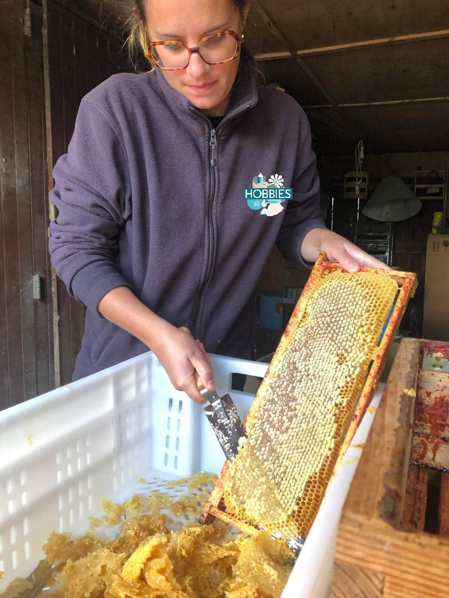 "Les gens devraient poursuivre ce qui les passionne. Cela les rendra plus heureux que presque tout le reste." Elon Musk.
C'est peu être ça le secret, vivre avec passion sa vie pro et perso !
#epanouissement #personnel #professionnel #passions #heureux