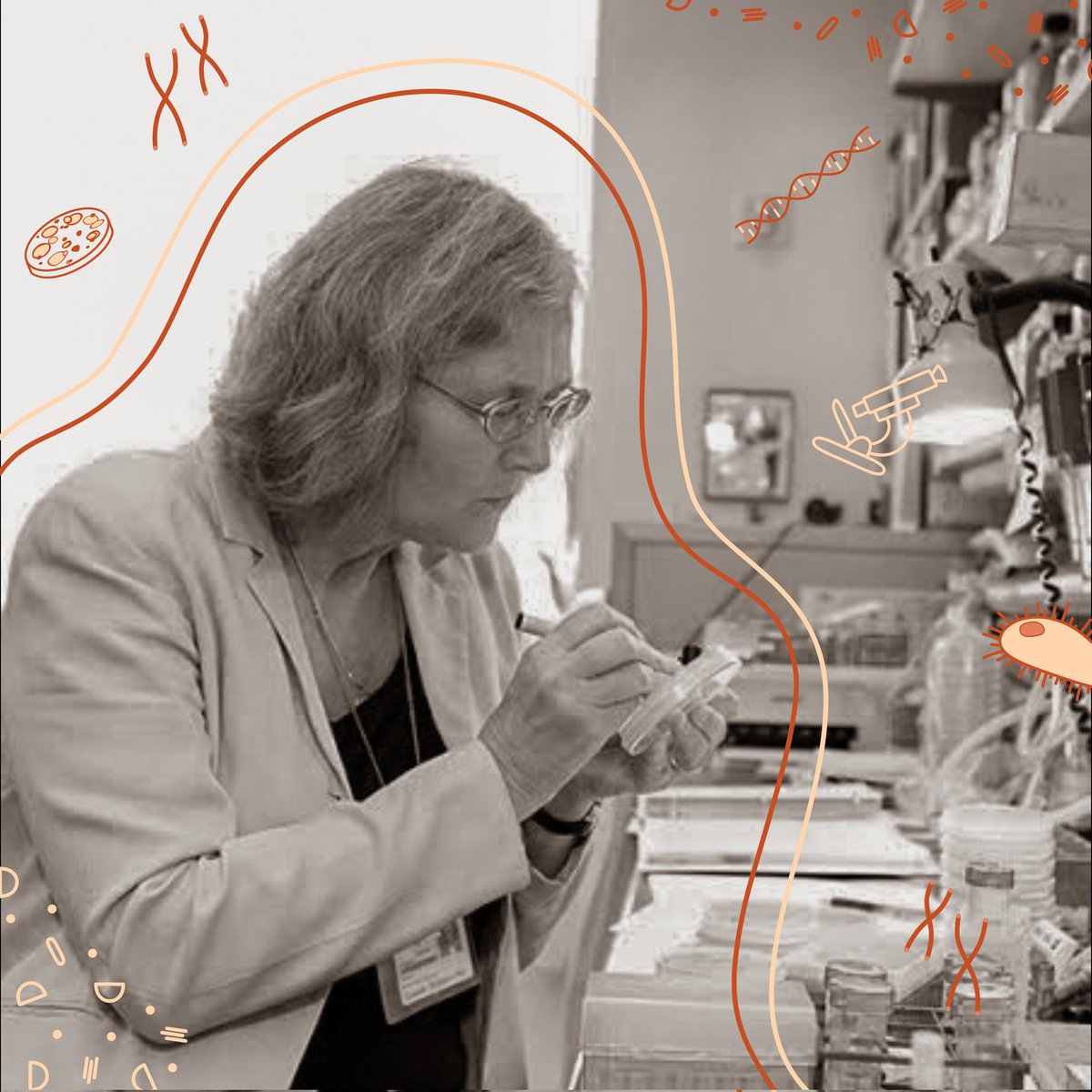 Thread: We're back for #womeninstemwednesdays! For #nationalscienceweek we're celebrating Dr Elizabeth Blackburn, Australia's only female Nobel Laureate!💥

It seems every second advertisement is about a new anti-aging cream, but what if we approached it from inside our bodies?