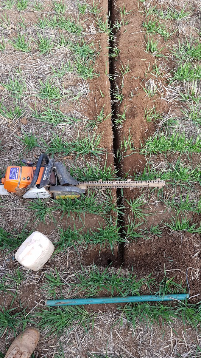 Leighton Wilksch tweet media