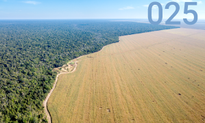 ✅ Vegetation plays an important role in regulating the climate.

Vegetation, fertile soils &amp; water retention must be recognized as prime regulators of the water, energy &amp; carbon cycles.

Learn more from our 🆕 Foresight Brief: bit.ly/3xO46za
#ForNature