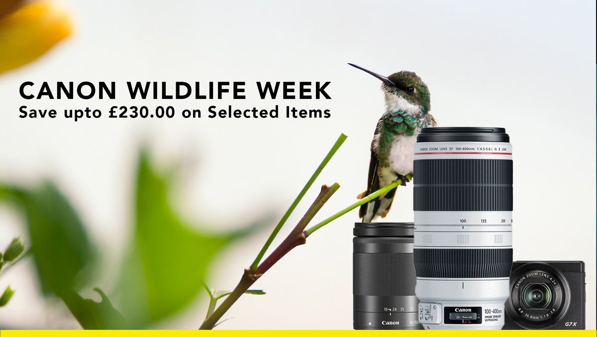 Canon Wildlife week, Save up to £230.00 on selected items 
more info : cambrianphoto.co.uk/collections/ca…