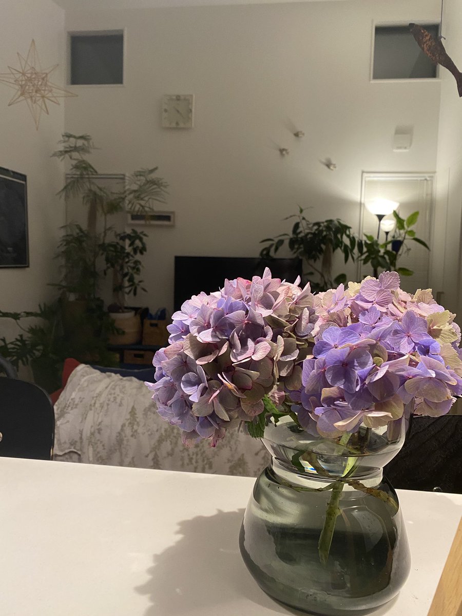 Hacogarden D على تويتر 備忘録 どうやら素人さんには特に 花瓶も くびれ がある方がいい くびれ 花瓶 花器の 選び方 Hacogarden D على تويتر 備忘録 どうやら素人さんには特に 花瓶も くびれ がある方がいい くびれ 花瓶 花器の 選び方