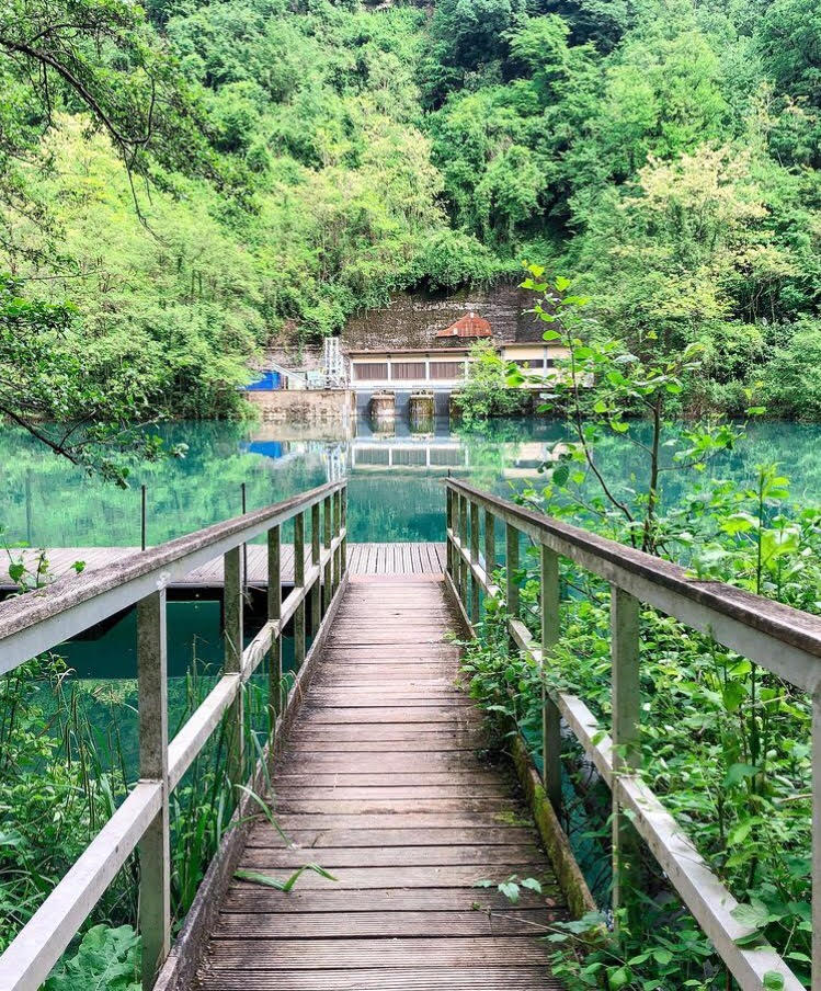 Un percorso sulle sponde dell'#Adda che il grande genio fiorentino ha calcato cinque secoli fa. Una guida laureata in botanica ci spiegherà le scoperte che #LeonardodaVinci fece anche in questo campo.💚
---
bit.ly/37PZduL
📷: Viaggia con Alice - Travel Blog