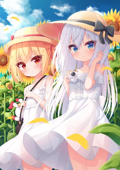 夏空とひまわり畑 