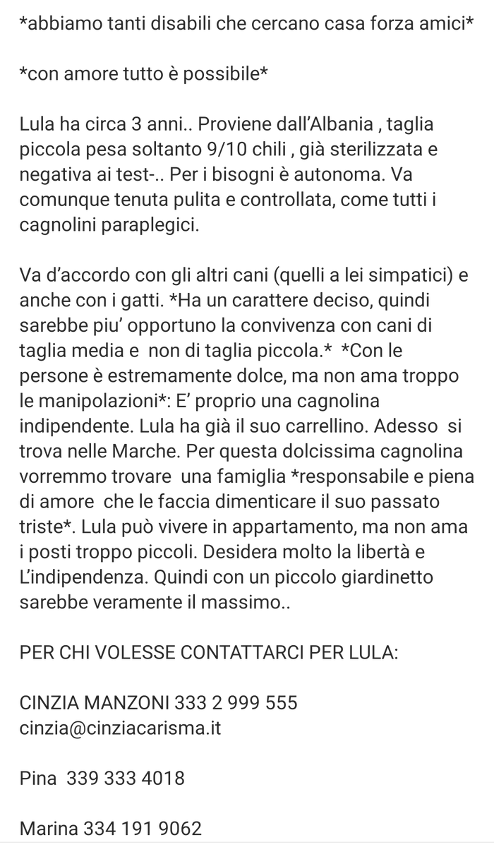 Qua la Zampa tweet media