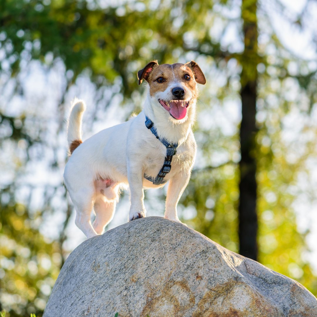 Never Give up! Today is international never give up day! Starting up a small business just as Covid hit - like so many - giving up seemed like the only option some days! I'm so glad we didn't! #NeverGiveUpDay #NeverGiveUp #SmallBiz