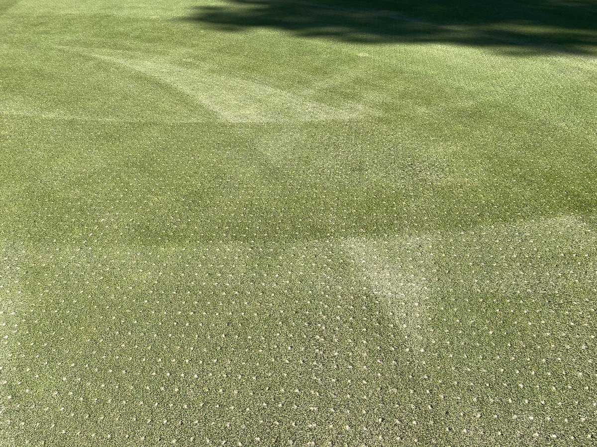 Craig Molloy tweet media