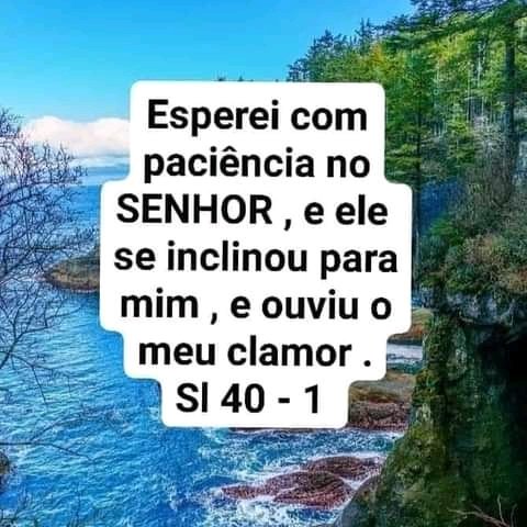 amaraltadeu14's tweet photo. @Marta42579544 https://t.co/Qh8NV8qrOD