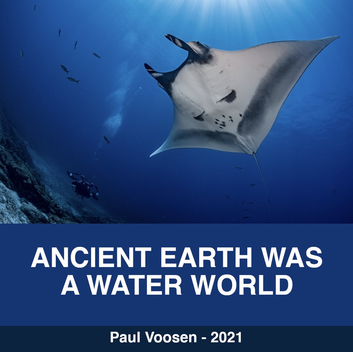 Bee Human 🐝 tweet media