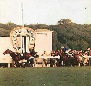 IVANJICA 1972
(SIR IVOR - ASTUCE BY VIEUX MANOIR)
B. Jacques Wertheimer (USA) May 3, 1972
O, Jacques Wertheimer 
T. Alec Head
15-6-1-3 with 626,682 dls in earnings
Champion 3 year old filly 1975, Champion Older Mare 1976
Prix Vermeille G1, Prix Poule d'Essai des Pouliches G1, Prix de la Nonette, G3, Prix de L'arc de Triomphe G1, Prix du Prince D' Orange G3.
2nd Prix d Isaphan G1,
3rd Prix Vanteaux G3, Prix Ganay G1, Washington D. C. International Stakes.
Sales
KEENOV in foal Nijinsky II 2,150,000 dls.
KEENOV in foal Storm Bird 550,000 dls 
Dam \
Beering Island (Bering), Figure Lubre (Northern Dancer), Ivorine (Blushing Groom), Roman Emperor (Nijinsky II), Southern Lake (King's Lake), Surfbird (Storm Bird)
dead 1992