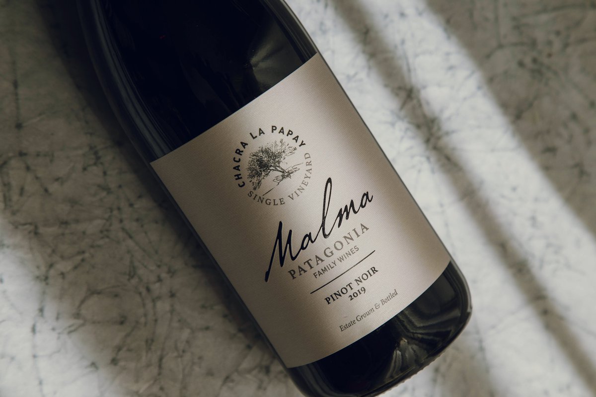 MalmaWines's tweet photo. Hoy celebramos un día único en el año, el #DiaDelPinotNoir. Una cepa emblemática que encuentra en la #Patagonia características únicas.
Los invitamos a brindar con #Malma #ChacraLaPapay #PinotNoir, un vino frutado, suave y elegante. 🍷🍇
#BodegaMalma #MalmaWines #Neuquen https://t.co/1JI6dI7k3r