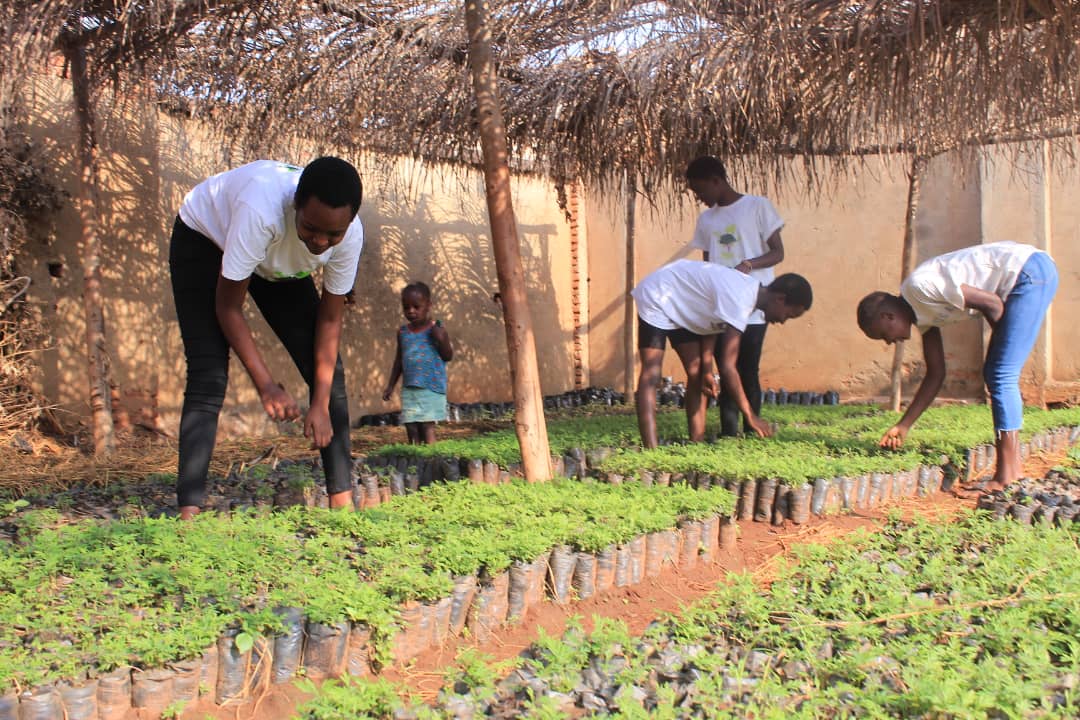 GreeningBurundi's tweet photo. Our #treenurseries in @CibitokeProv and in 2 months, #tree planting activities will start.
Malicious people prevent noble actions of protection but because of a commitment and ambition to make a change and prepare for a better future we sacrifice ourselves to achieve our dreams. https://t.co/GlA4Rnp7cz