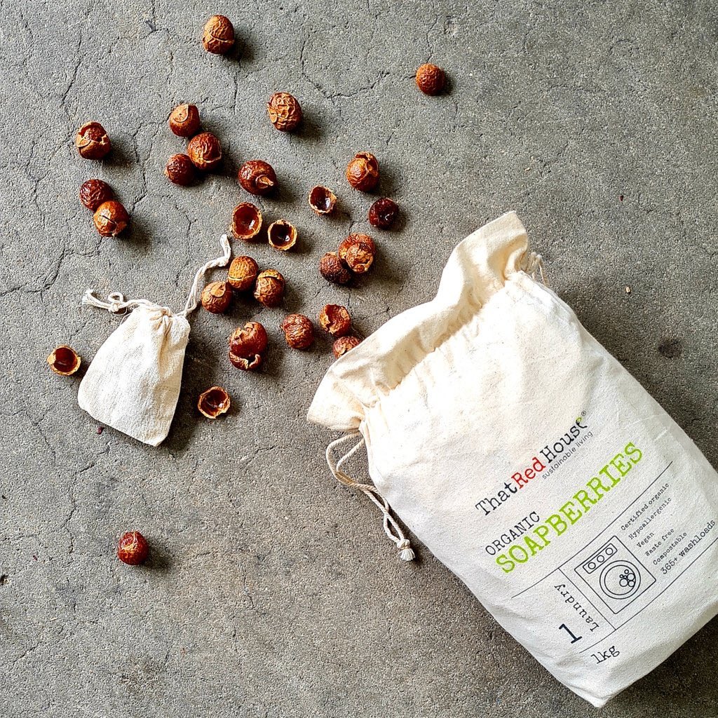 Son 3 senedir, çamaşır deterjanı yerine soapberry denilen bu bitkiyi kullanıyoruz. Deterjanlardan çok daha güzel yıkadığını söyleyebilirim. Bir keseye koyuyorsun 3-4 tanesini, makineye atıyorsun. 5 yıkamaya kadar gidiyor.