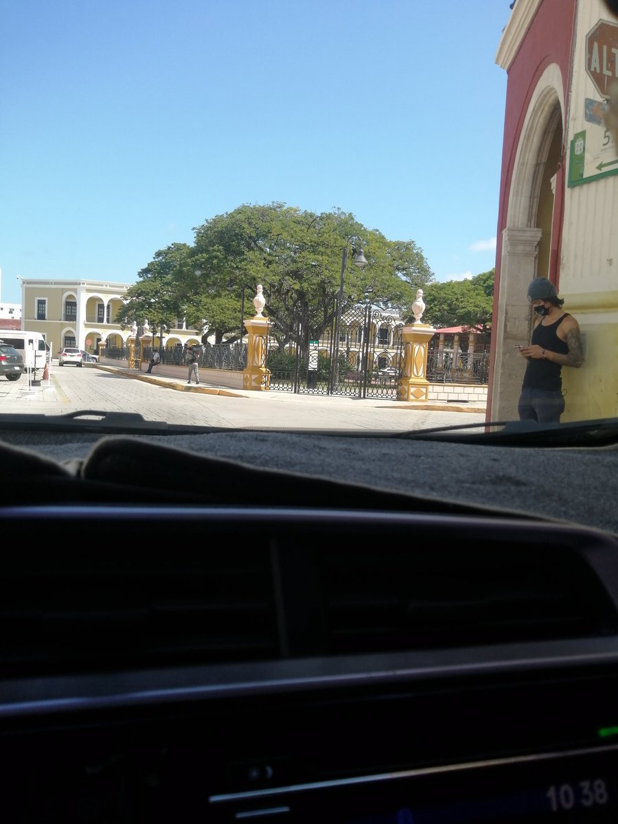 Elmo Morphuss tweet media