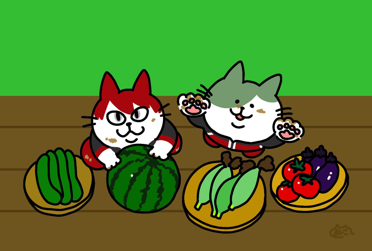 food cat cucumber no humans tomato fruit watermelon  illustration images