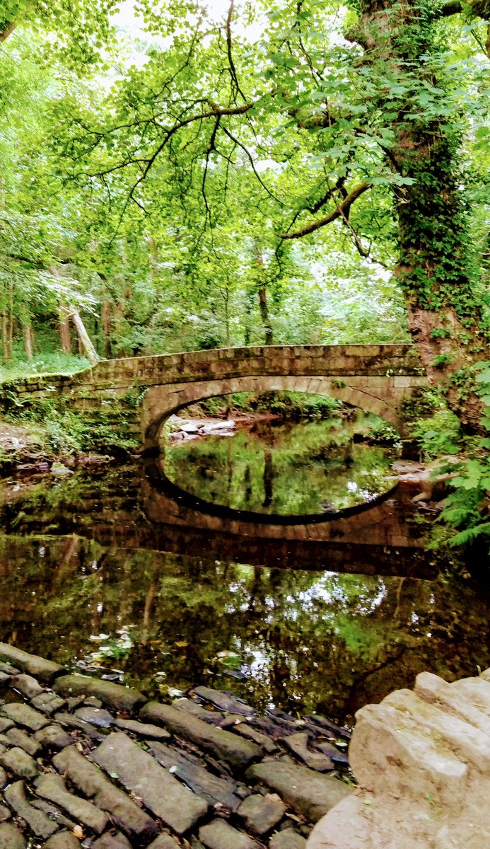 CazCutts1's tweet photo. Lovely walk in the Rivelin Valley this morning @Sheff_HousingCo @SheffieldWalks https://t.co/tFauCzipGp