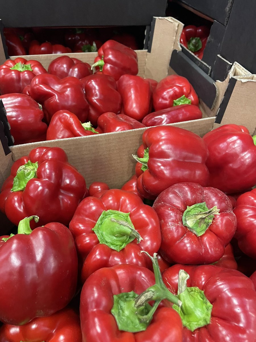 George Perry Limited tweet media