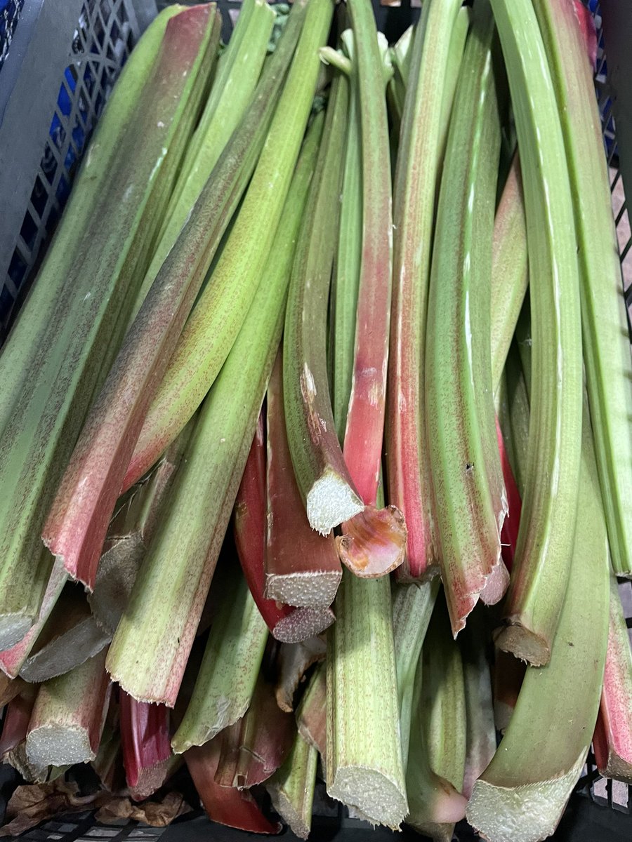 George Perry Limited tweet media