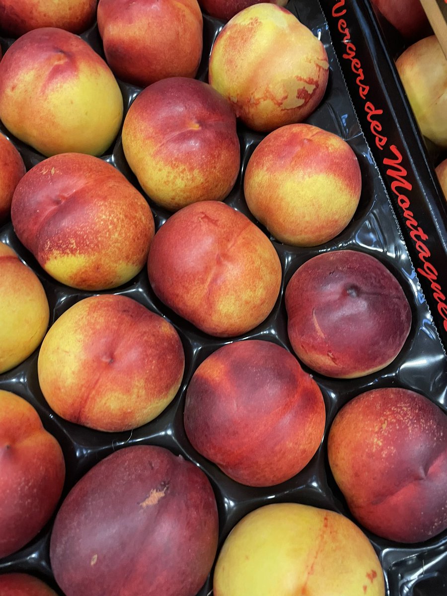 George Perry Limited tweet media