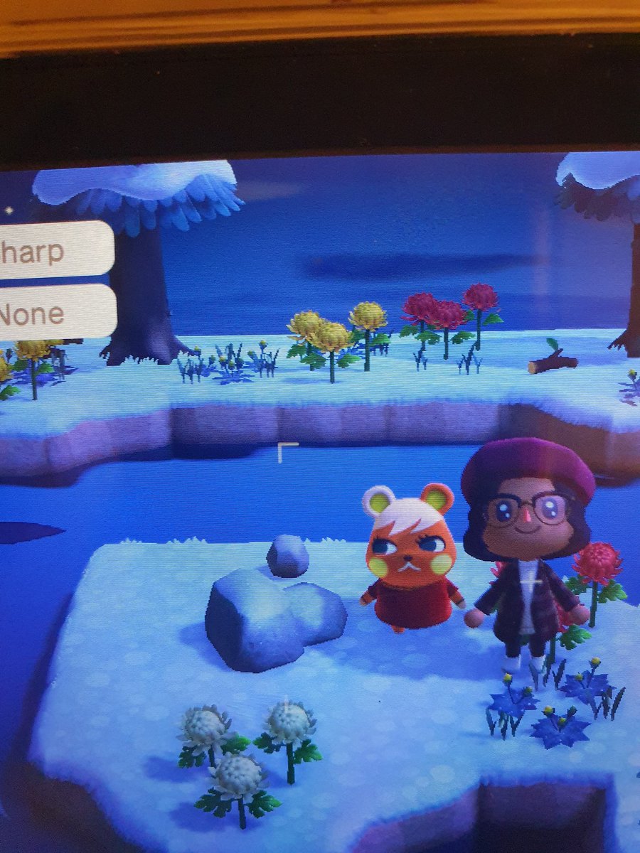 __Sephiroth's tweet photo. Why does Soleil look like the Karen of Animal Crossing? #AnimalCrossing #NewHorizons https://t.co/Z4B6zgkk9p