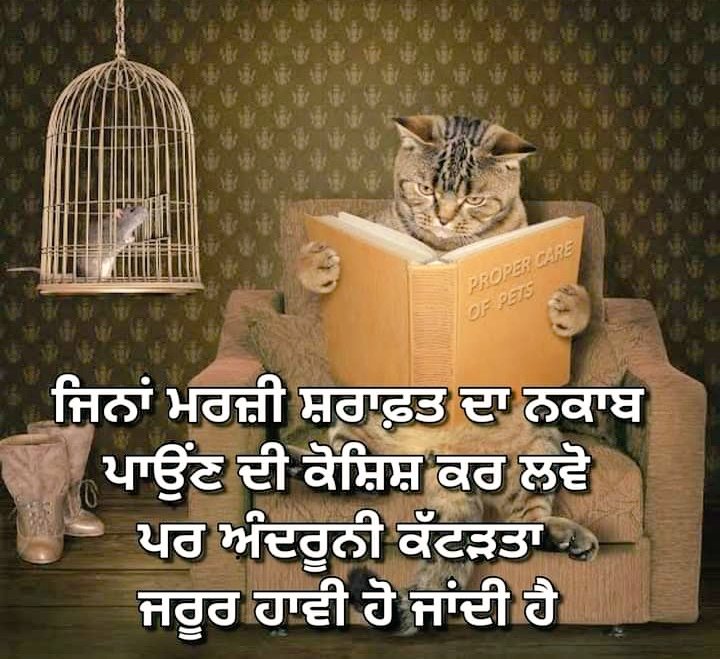 ChahalSon1313's tweet photo. Whenever we talk with someone on space
Firstly everyone talk softly
And Discussion converts in Debate
And Debate shows true colors of persons
Bitter Reality
So Be Careful my loved one's
@idhu1313
@DeepSandhu_K
@GURINDERSEKHO11
@Parm_000
@Kaur_Mani_
#AwarenessFirst
👇🏼👇🏼 https://t.co/JpoGwpWp9N