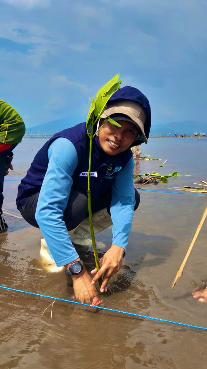HamdibinAhmad's tweet photo. Rabu 18/8 Abdul Hamdi PPB Situbondo, pendampingan proses penanaman mangrove Hari pertama di Desa Ketah, Desa Buduan Kec. Suboh Kab Situbondo #GiatLuhkanSatminkalBanyuwangi #sbon @kkpgoid @bppp_banyuwangi https://t.co/aZXg5tVaV7