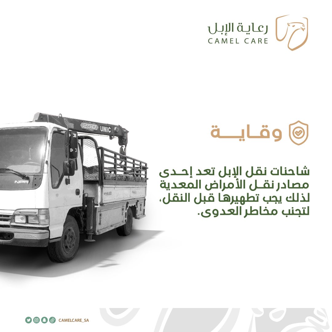 أهمية تطهير شاحنات نقل الإبل: 

#رعاية_الابل