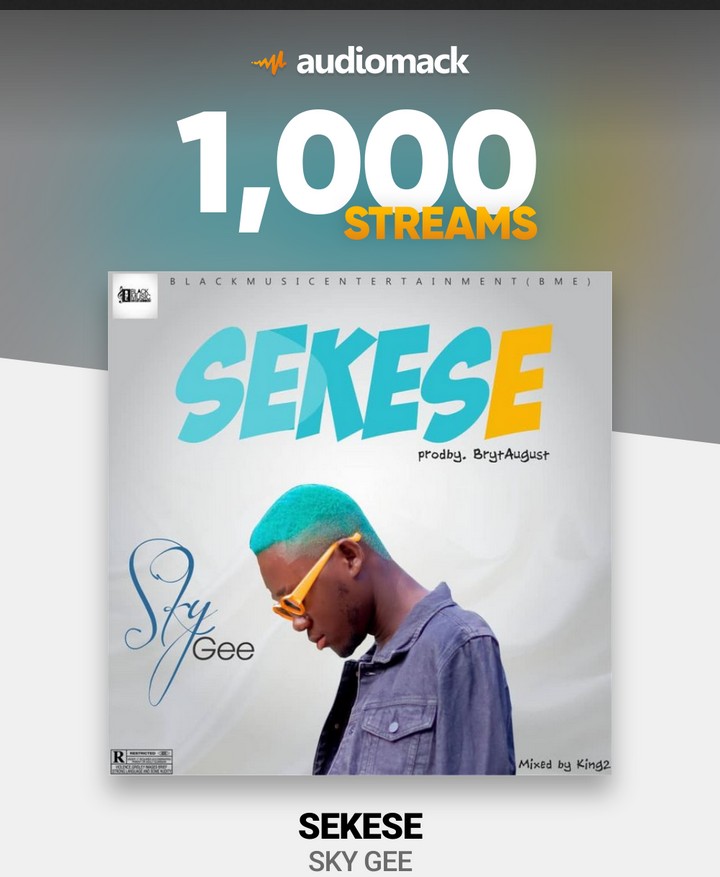 BLACKMUSICENTE1's tweet photo. SEKESE BY SKY GEE HITS THE MARK. Bravo to all sekese fans 🙏🙏🙏🙏 https://t.co/W8xioT7Tsu