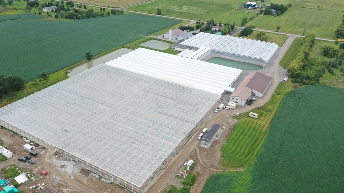 Havecon's tweet photo. “Foliera is building towards a strong future with their latest greenhouse.” 

Read our latest article about the greenhouse construction at Foliera:
https://t.co/DWfTvZzYFX

#Havecon #foliera #greenhouse #buildtogrow https://t.co/wYeTmgWq6S