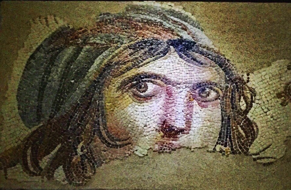 SenayTercuman's tweet photo. Gaziantep Zeugma Mozaik Müzesi #tbt #2019 #tarih #arkeoloji #mozik https://t.co/4SKLZfIPZA