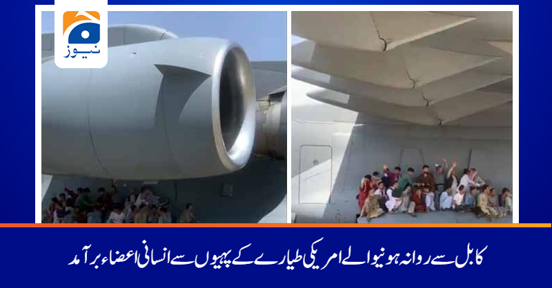 سی 17 کے لینڈنگ گیئر اور پہیے کے اطراف سے انسانی اعضاء ملے جس کی تحقیقات کی جارہی ہیں: امریکی فضائیہ
مزید جانیے: tinyurl.com/yfwmyuty
#GeoNews #Afghanistan
