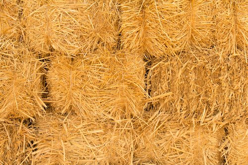 Caviera Bedding tweet media