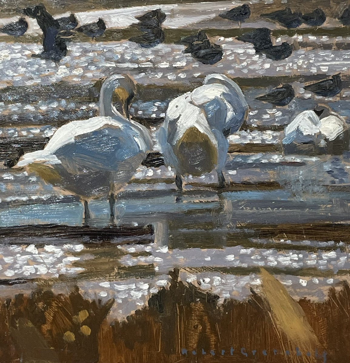 ryeartists's tweet photo. A fabulous set of oils by Robert Greenhalf in our 70th Summer Exhibition- beautifully observed and a sure thing for any bird lover - magpies, blackbirds, swans, avocets…. We are open til 5pm every day.
#ryeartists #robertgreenhalf #rspb_love_nature #magpies #blackbirds #swans https://t.co/OVUY4NiHqg