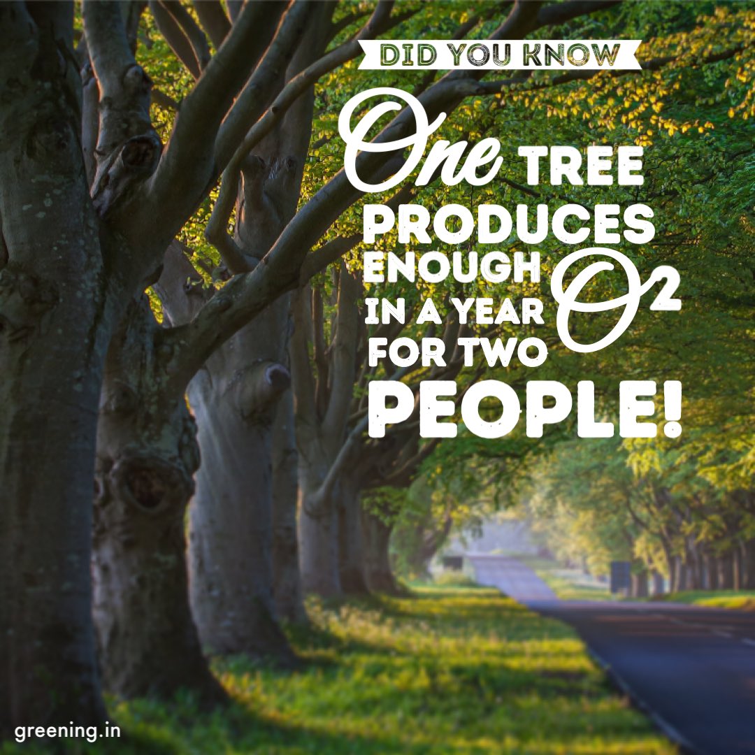 SusGreenIn's tweet photo. #WednesdayWisdom Planting a tree is the easiest way to take #climateaction! Plant one with us today in just five minutes at https://t.co/Gdtz4TiUZZ! https://t.co/VpOaikIHAd