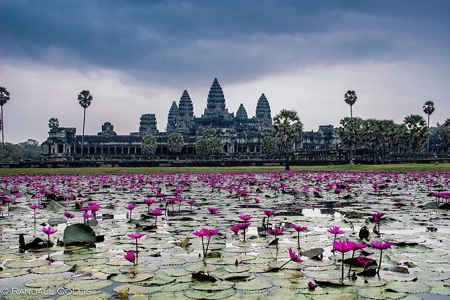 Ангкор-Ват (Angkor Wat), Камбоджа
Фотография: Рэндалл Коллис (Randall Collis)