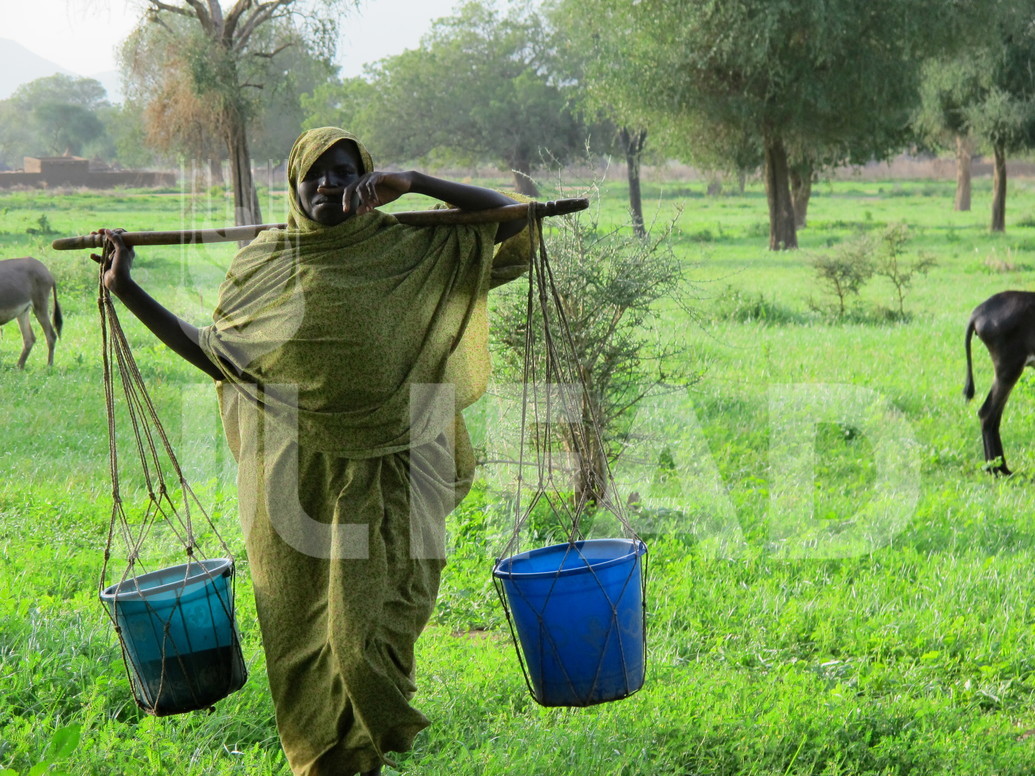 FIDAfriqueOuest's tweet image. #FIDA et Fonds vert pour le climat accordent 2⃣4⃣9⃣6⃣6⃣millions d’USD au #Tchad pour le financement d’un programme de 6⃣ ans destiné à consolider les moyens d’existence des petits producteurs. Il touchera 1⃣1⃣0⃣0⃣0⃣ménages dont 5⃣0⃣% de femmes, 4⃣0⃣% de jeunes
#SD3C @G5_Sahel_SE