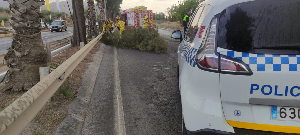 local_jaen's tweet photo. Caída de árbol en la Avd/ de Granada.
Con una longitud de unos 10 m. se lo puso difícil a los compañeros que tuvieron que apartarlo a pulso para dejar libre un carril de circulación.
En pocos minutos @bomberosjaen lo cortaron y retiraron por completo de la vía.
#TrabajoEnEquipo https://t.co/Y7L07Ekv9s