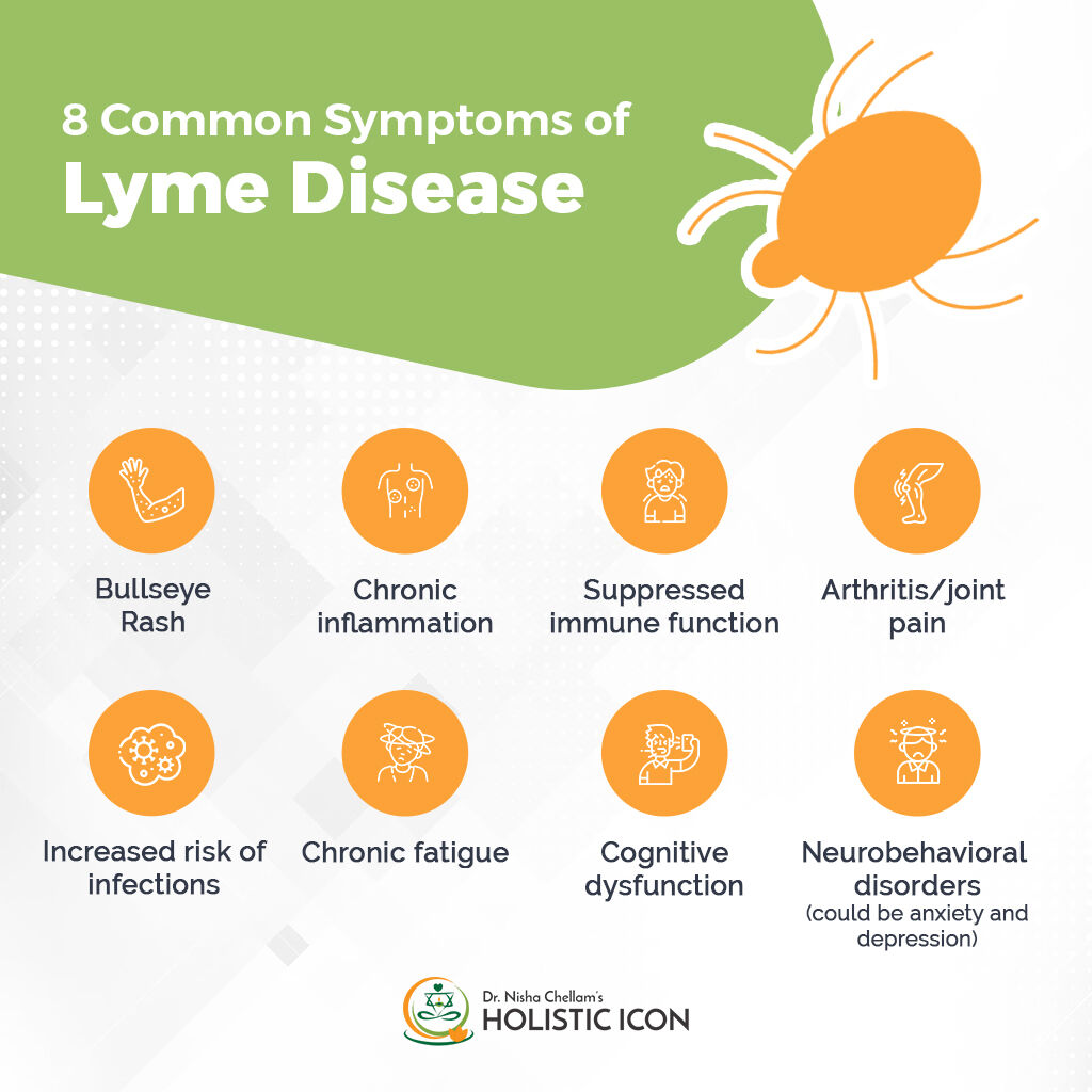 Know more about Lyme disease, how it affects your immunity & how to recover from Lyme disease through biohacking: youtu.be/lE5XpQ5TluI 

#LymeDisease #AutoimmuneConditions #GutHealth #Type2Diabetes #Nutrition #HolisticICON #HealthyLiving