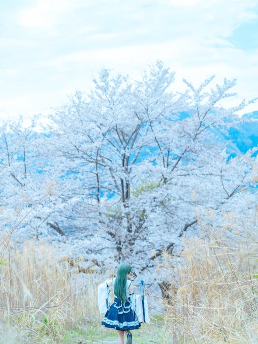 コスプレイヤーろァのTwitter画像29
